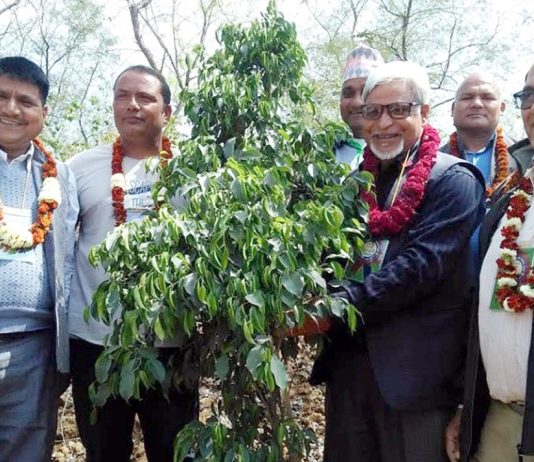 बिरुवा रोपेर सुरु भयो साधारणसभा