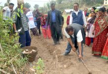 सिमलतारामा ४ बिगाह बारीमा पिडालु खेती