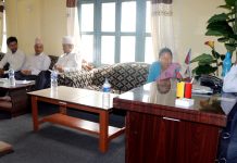 योजनाको अवस्थाबारे प्राविधिकसँग सोधपुछ