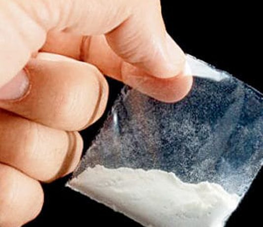 ब्राउन सुगरसहित युवक पक्राउ