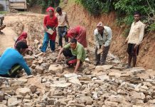 बेरोजगारलाई निरन्तर रोजगारी दिँदै दार्मा गाउँपालिका