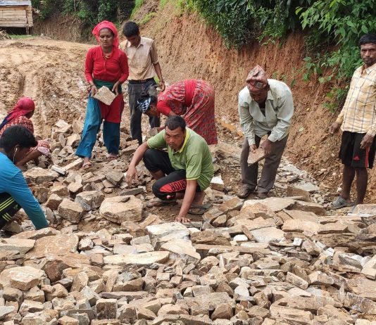 बेरोजगारलाई निरन्तर रोजगारी दिँदै दार्मा गाउँपालिका