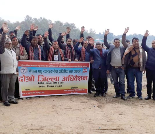 नेल्टाको नयाँ नेतृत्वः ब्यावसायिक पशु पालनमा जोड