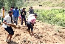 सार्वजनिक बाँझो जग्गा खेतीयोग्य बनाउँदै दार्मा गाउँपालिका