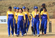 प्रधानमन्त्रीकप क्रिकेट उपाधिका लागि एपिएफ र प्रदेश १ भिड्दै