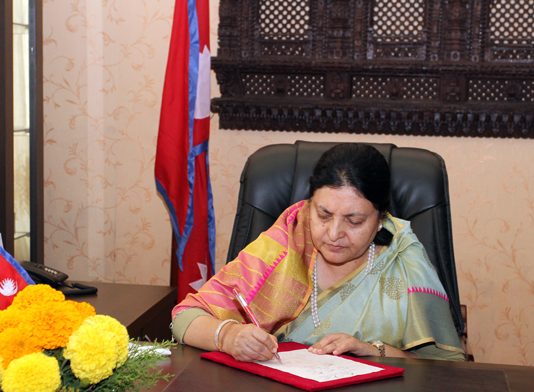 देश मध्यावधि निर्वाचनको बाटोमा