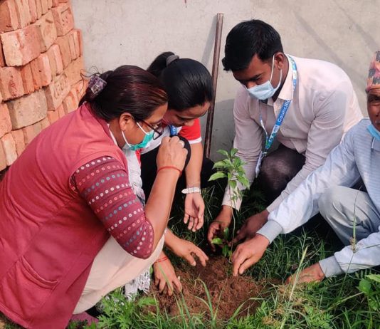विश्व वातावरण दिवसमा जेसीजले गर्यो वृक्षारोपण