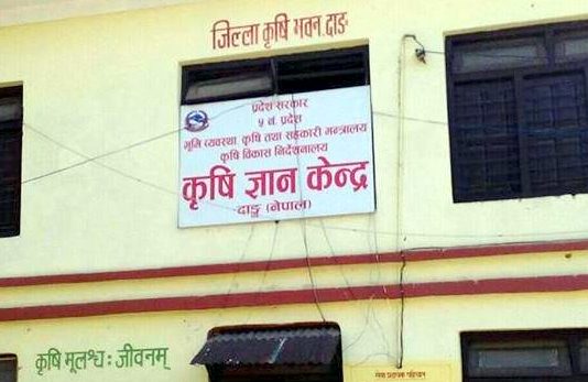 धानबालीको क्षति विवरण पठाउन दाङका सबै पालिकालाई पत्र