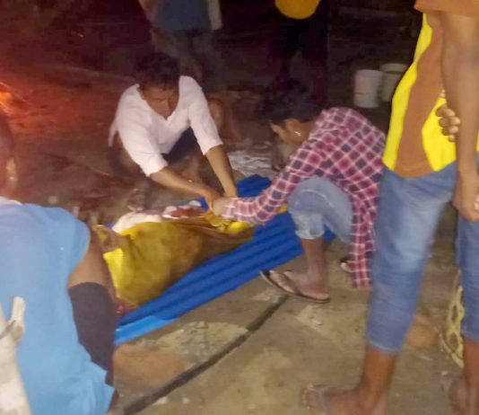 कांग्रेसले माैन अवधिमा तेलियामा भत्यार लगायाे