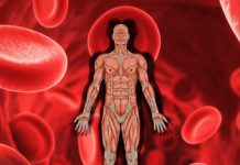 सिकलसेल एनिमियाको निःशुल्क शिविर