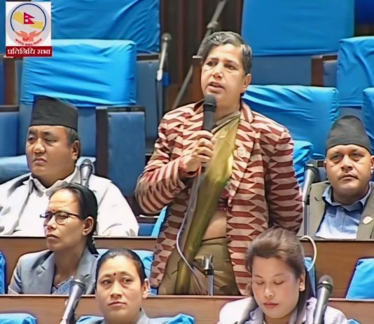 महिला हिंसाका घटनाप्रति सरकार गम्भीर हुनुपर्ने: सांसद पाेख्रेल