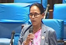 स्मार्ट कार्ड लाइसेन्सको ढिलाइप्रति सांसद चौधरीद्वारा सरकारको ध्यानाकर्षण