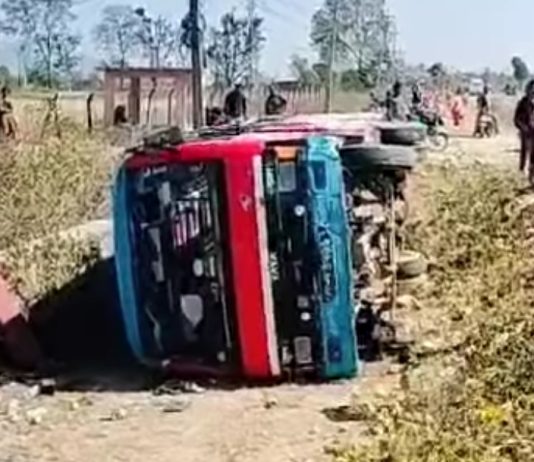 सडक दुर्घटनामा १४ जना घाइते