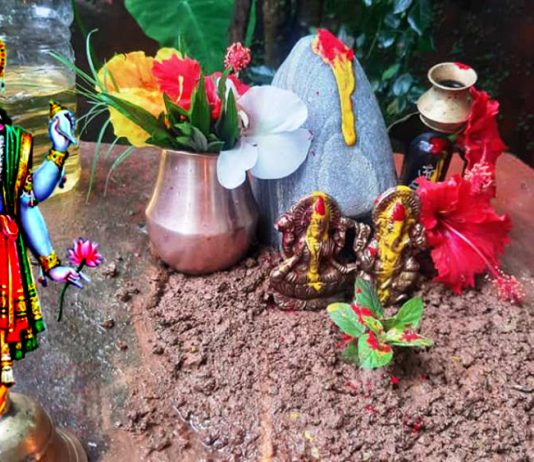 हरिशयनी एकादशी आज, चार महिनाका लागि तुलसीको बिरुवा मोठमा सारिँदै