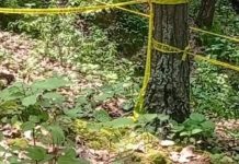 घोराहीमा सालको रुखमा महिलाको आत्महत्या