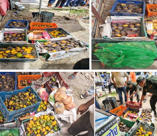 घोराहीमा अखाद्य वस्तु बिक्री गर्ने पसलमा उपमहानगरको छापा