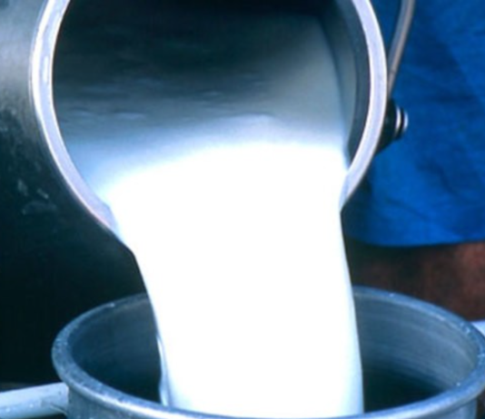 भोलि खीर खाने दिन, देशभर ८० लाख लिटर दूध खपत हुने अनुमान