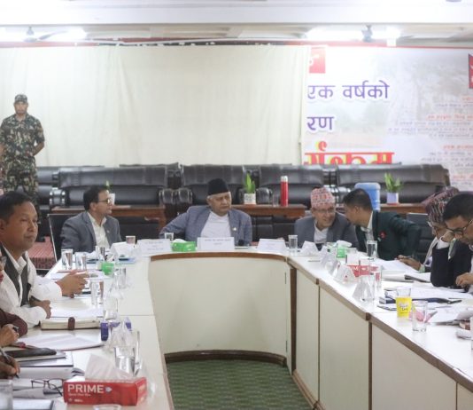 लुम्बिनी प्रदेश विकास समस्या समाधान समितिको बैठक, ११ बुँदे प्रस्ताव पारित