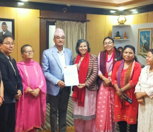 महिला हिंसा न्यूनीकरणका लागि अनेमसंघद्वारा गृहमन्त्रीलाई ज्ञापनपत्र