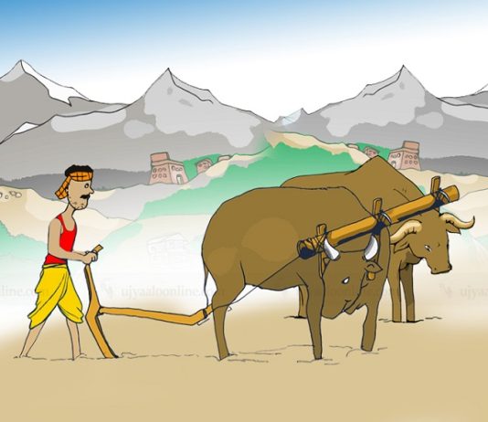 ३ वर्षभित्र सबै किसानलाई किसान परिचयपत्र दिने सरकारको तयारी प्रतीकात्मक तस्बिर