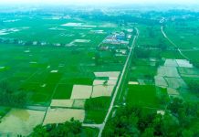 देशभर ९१ प्रतिशत धान रोपाइँ सकियो