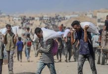 खाना बोकेको ट्रक भीडमाथि पल्टिँदा गाजामा २० जनाको ज्यान गयो