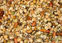 जनै पूर्णिमामा क्वाँटी खाने परम्परा