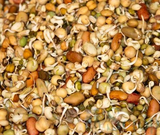 जनै पूर्णिमामा क्वाँटी खाने परम्परा