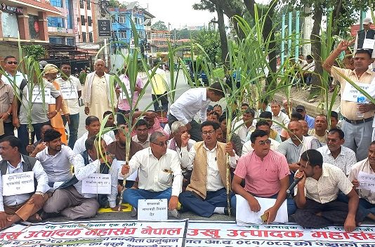 भदौ २५ गतेदेखि राष्ट्रिय राजमार्ग बन्द गर्ने उखु किसानको घोषणा