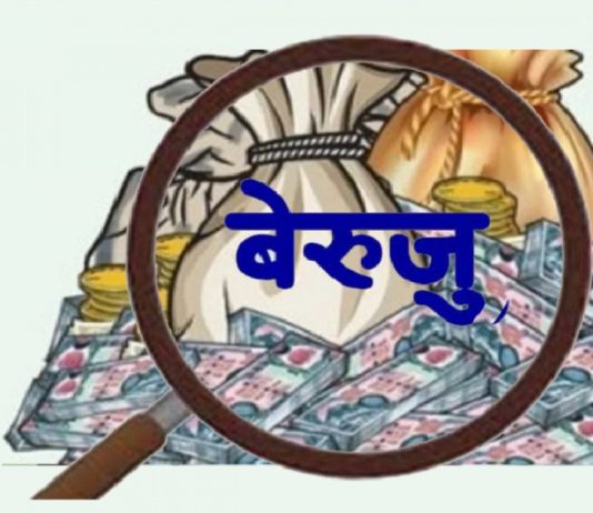 दाङका दुई डिभिजन वन कार्यालयमा साढे दुई करोड बढी बेरुजु