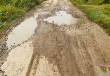 उच्च अदालत तुलसीपुरद्वारा गहतेखोला–बाघमारे सडक निर्माणमा अल्पकालिन रोक
