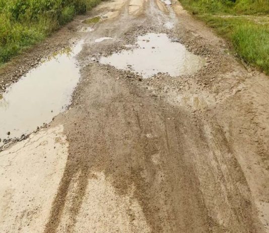 उच्च अदालत तुलसीपुरद्वारा गहतेखोला–बाघमारे सडक निर्माणमा अल्पकालिन रोक