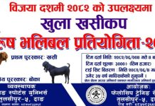 तुलसीपुरमा बिजया दशमीको अवसरमा खुला खसी कप पुरुष भलिबल प्रतियोगिता हुने