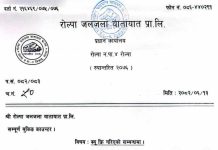 विजयादशमीमा रोल्पा जलजला यातायातको विभिन्न रुटमा क्यू–फ्रि सेवा