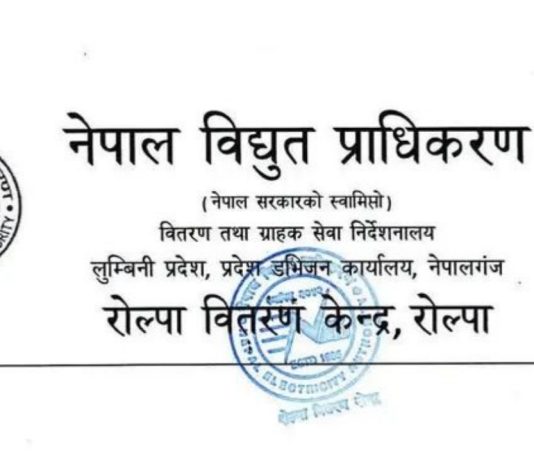 तिहारलाई लक्षित गर्दै रोल्पामा बुस–कटिङ कार्य, विद्युत सेवा केही समयका लागि अवरुद्ध हुने