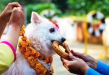 आज कुकुर तिहार तथा नरक चतुर्दशी