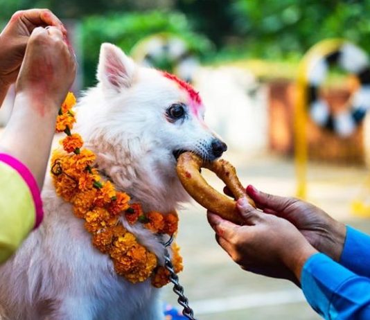 आज कुकुर तिहार तथा नरक चतुर्दशी