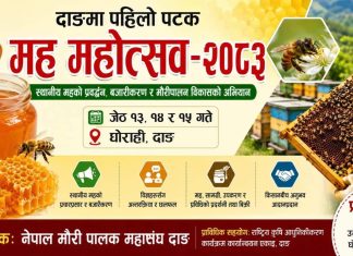 दाङमा भोलिदेखि ३ दिन ‘मह महोत्सव’