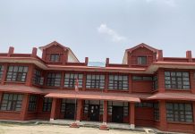 नेसंवि ऐनमा पदाधिकारी नियुक्तिसम्बन्धी व्यवस्था सच्याउन माग