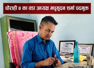 घोराही ४ का वडा अध्यक्ष मधुसुदन शर्मा पदमुक्त