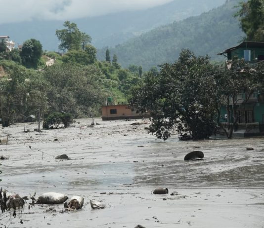 रसुवा बाढी: नुवाकोट र धादिङमा ७ जनाको शव फेला, उद्धार र खोजी कार्य तीव्र