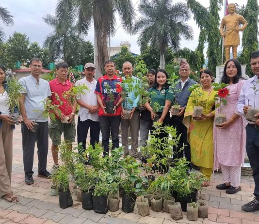 लखन पार्कमा पराग सेचनमैत्री फूल तथा वनस्पति रोपन