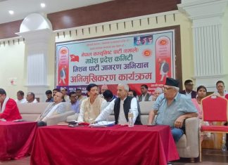 जनतासँगको सम्बन्ध टाढिएका कारण एमाले कमजोर भयो : प्रदिप ज्ञवाली