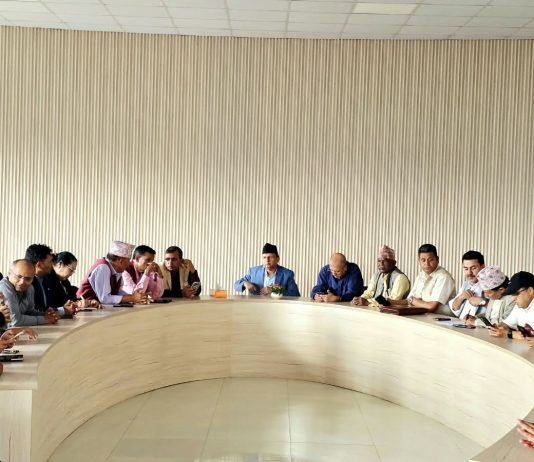 एमालेले संविधान दिवस भव्यरूपमा मनाउने
