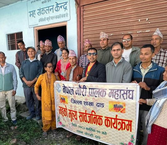 दाङमा महको नयाँ दररेट सार्वजनिक, प्रतिकेजी ६०० देखि ८०० रुपैयाँसम्म
